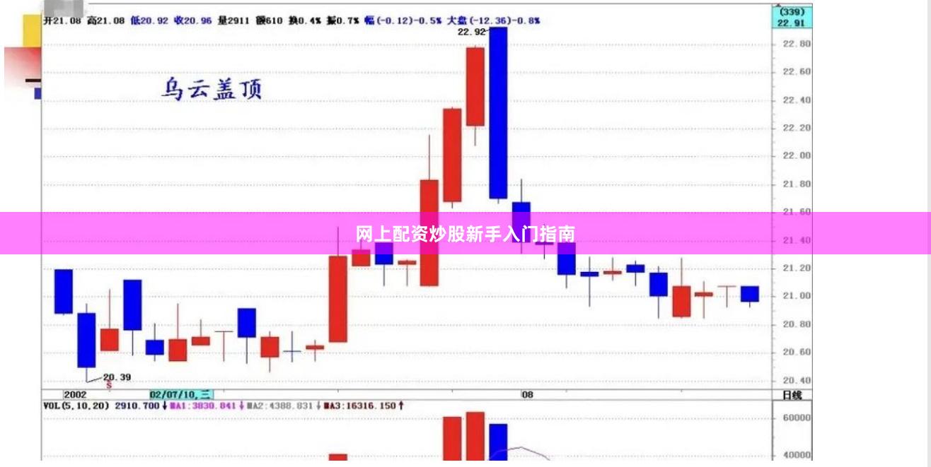 网上配资炒股新手入门指南